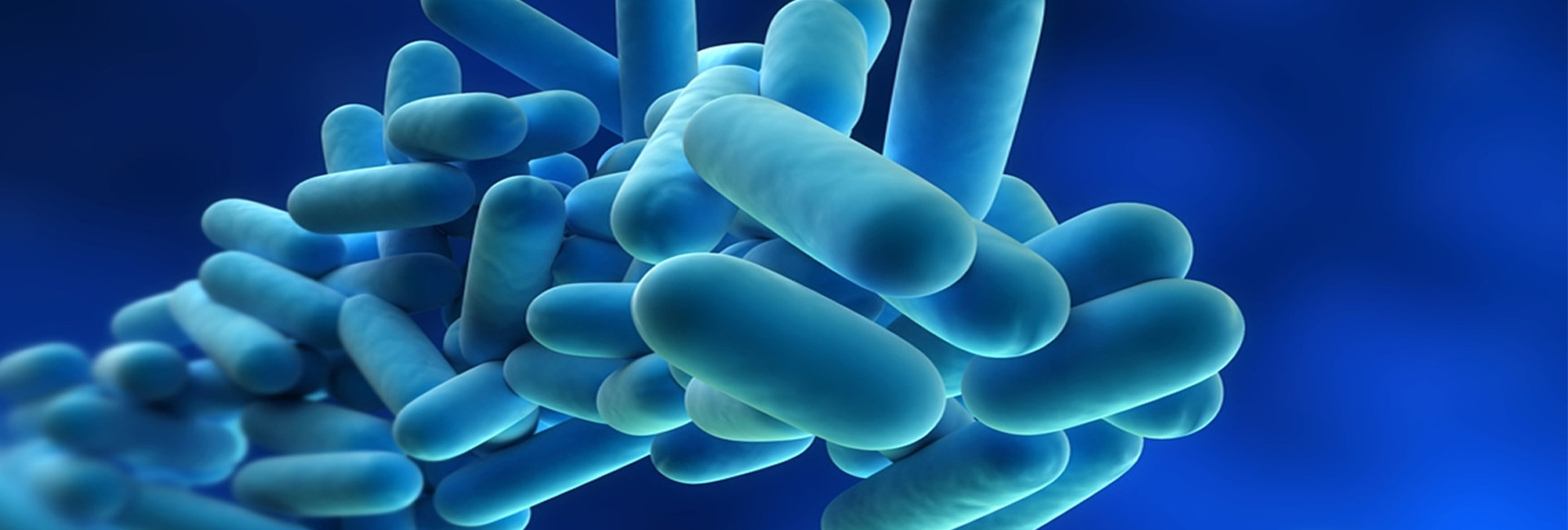 Legionella Testing