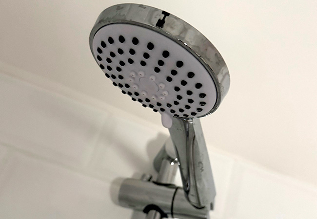 Legionella Testing Shower